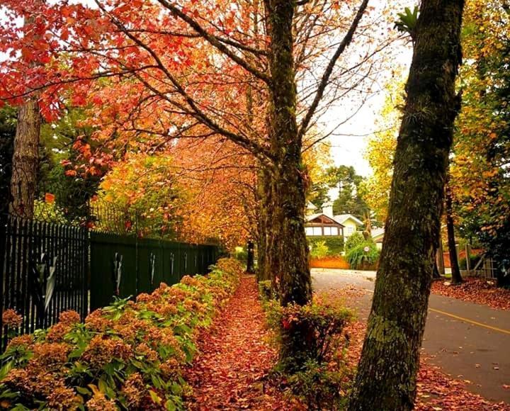 Apartamento Familia Sirangelo Gramado Exteriér fotografie