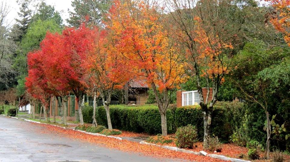Apartamento Familia Sirangelo Gramado Exteriér fotografie