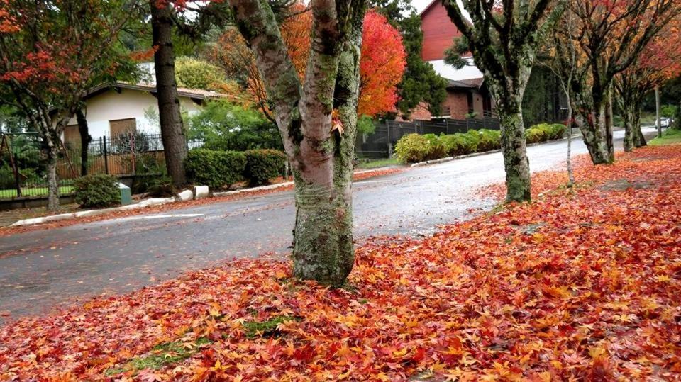 Apartamento Familia Sirangelo Gramado Exteriér fotografie